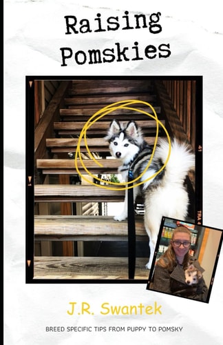 Raising Pomskies Breed Specific Tips from Puppy to Pomsky