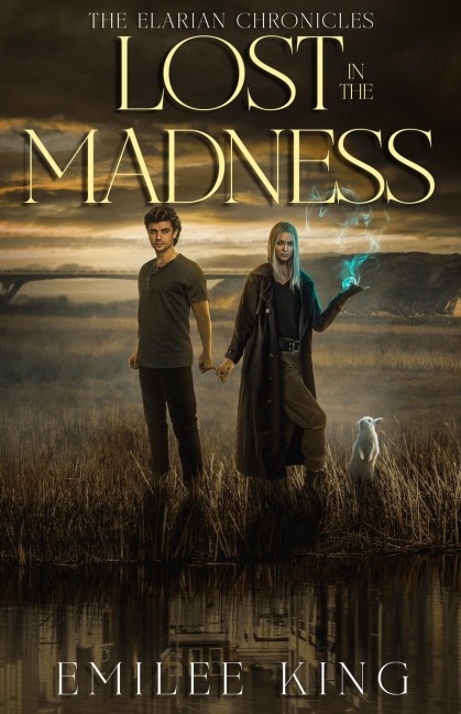 Lost in the Madness