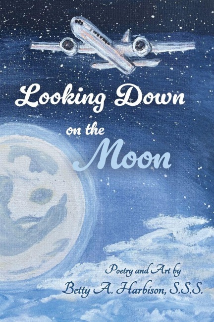 Looking down on the Moon