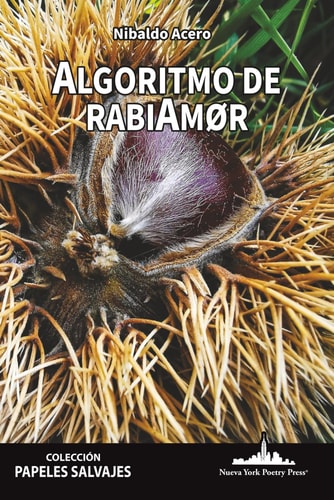 Algoritmo de RabiAmor