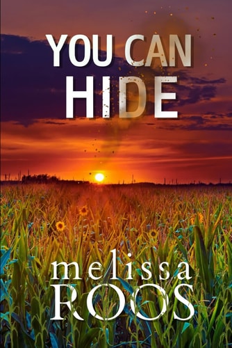 You Can Hide A Small Town, Second Chance Romance with an Edge of Mystery