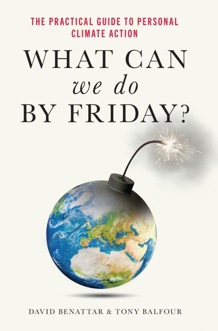 What Can We Do by Friday?: The Practical Guide to Personal Climate Action