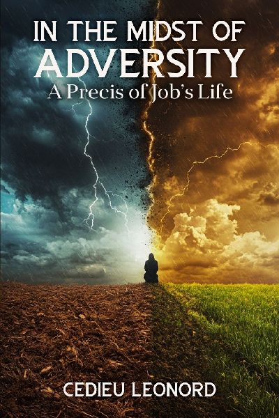 In The Midst of Adversity: A Precis of Job's Life