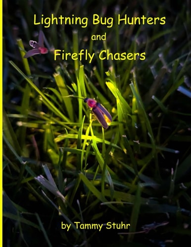 Lightning Bug Hunters and Firefly Chasers