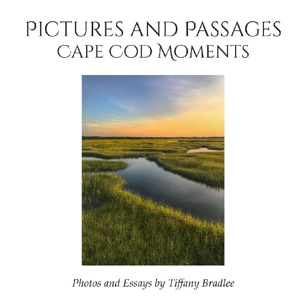 Pictures and Passages: Cape Cod Moments