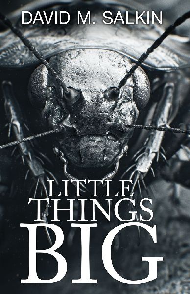Little Things Big