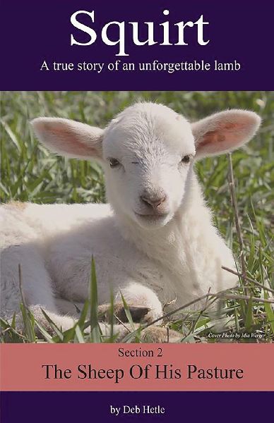 Squirt: A True Story of an Unforgettable Lamb