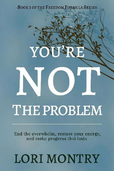 Youre Not the Problem: End the overwhelm, restore energy, and make progress that lasts
