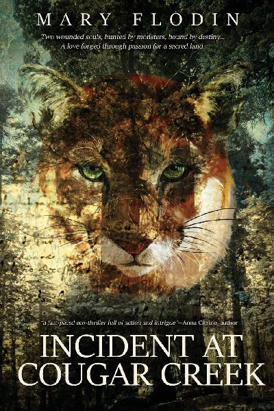 Incident at Cougar Creek