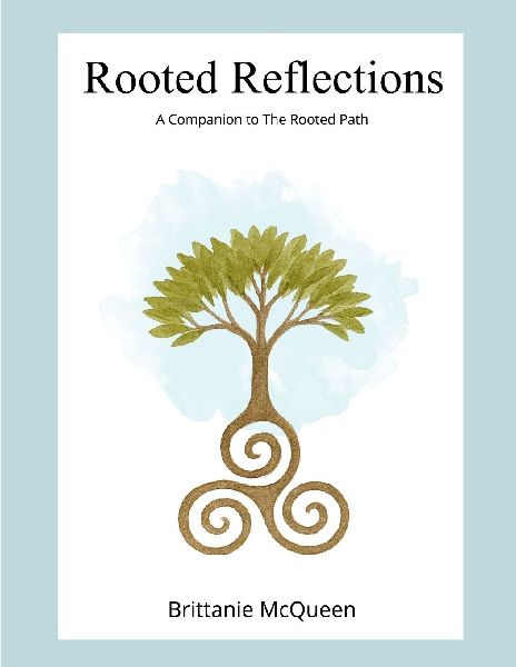 Rooted Reflections