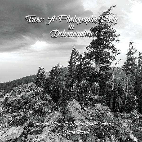 Trees: A Photographic Study in Determination