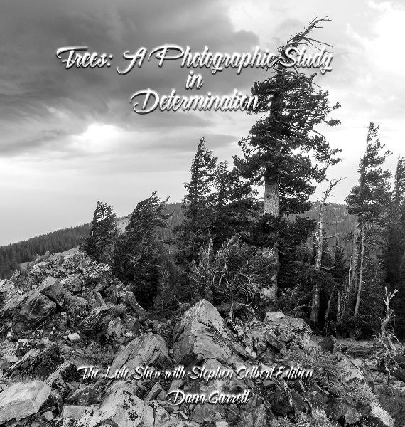 Trees: A Photographic Study in Determination