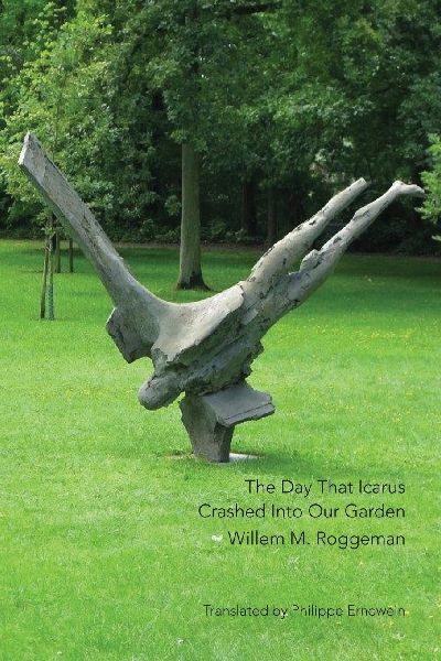 The Day That Icarus Crashed Into Our Garden