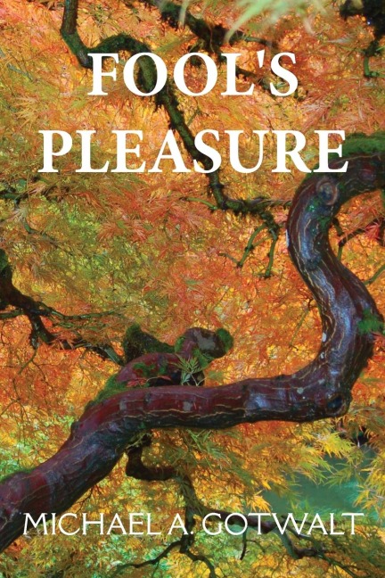 Fools Pleasure