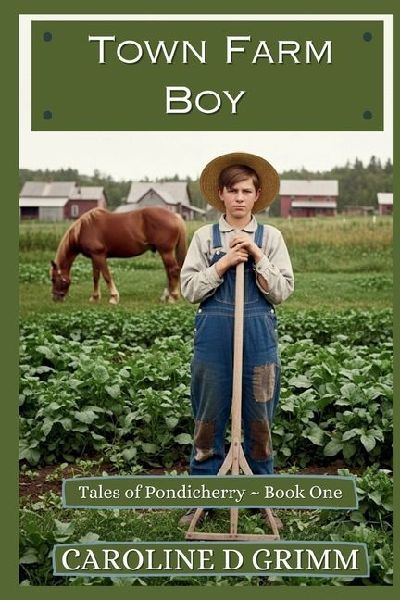Town Farm Boy
