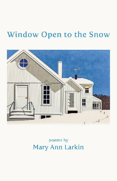 Window Open to the Snow