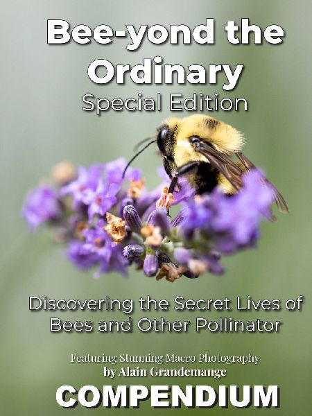 Bee-yond the Ordinary: The 4 Volume Compendium