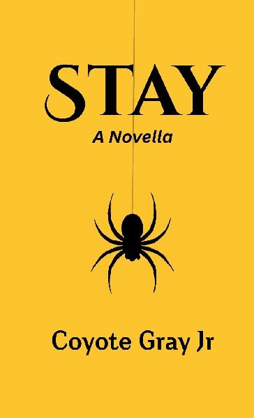 Stay: A Novella