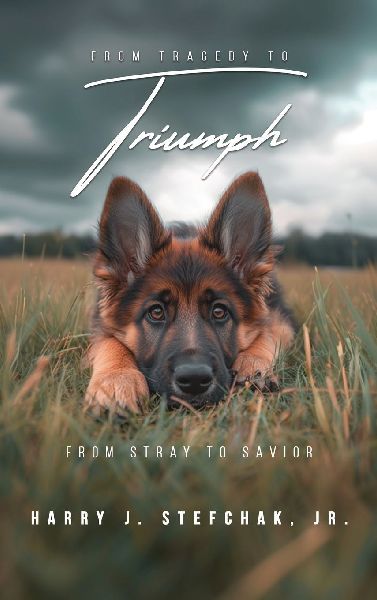 From Tragedy to Triumph