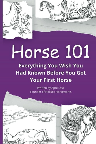 Horse 101 Everything You Wish You Had Known Before You Got Your First Horse