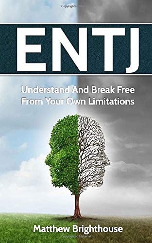 Entj Understand And Break Free From Your Own Limitations