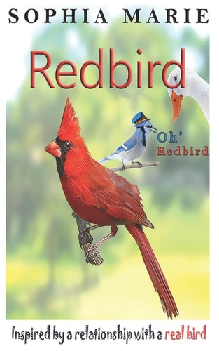 Redbird Oh Redbird Inspired by a Relationship with a Real Bird
