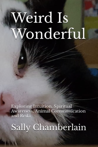 Weird Is Wonderful Exploring Intuition, Spiritual Awareness, Animal Communication and Reiki Through the Eyes of an Intuitive Animal Empath