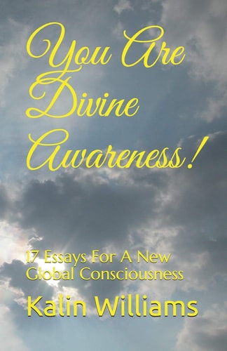 You Are Divine Awareness! 17 Essays for a New Global Consciousness