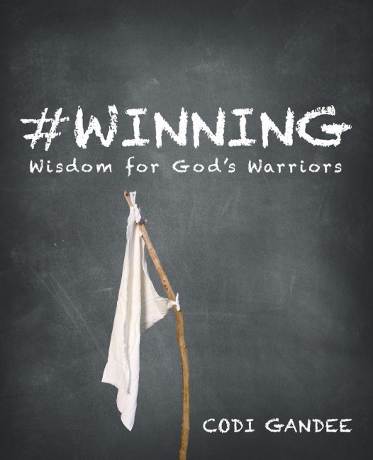 #Winning: Wisdom for Gods Warriors