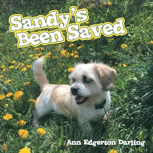 Sandys Been Saved