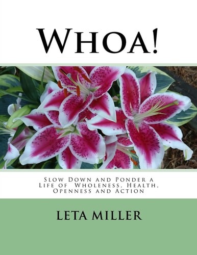 Whoa! Slow Down and Ponder a Life of Wholeness, Health, Openness and Action