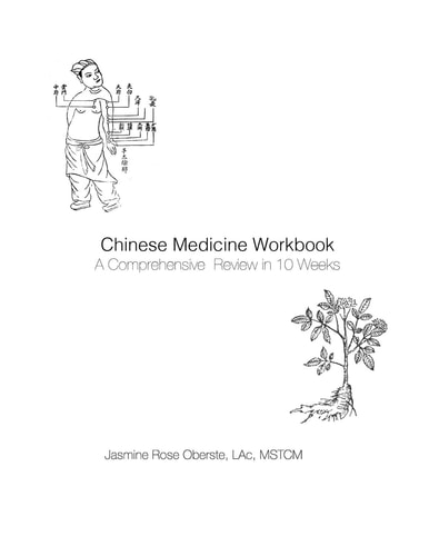 Chinese Medicine Workbook A Comprehensive Review in 10 Weeks