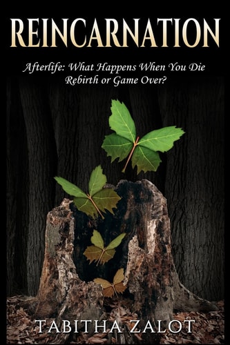Reincarnation Afterlife: Life After Death - What Happens When You Die? Rebirth Or Game Over?