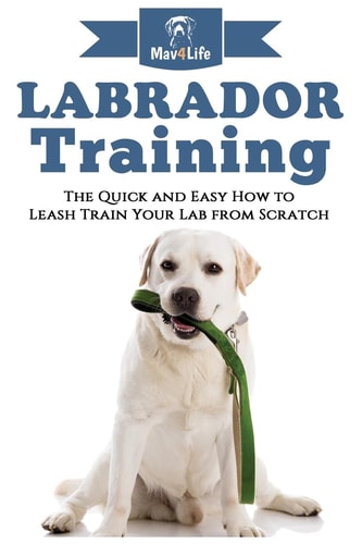 Labrador Training! The Quick and Easy How to Leash Train Your Lab from Scratch