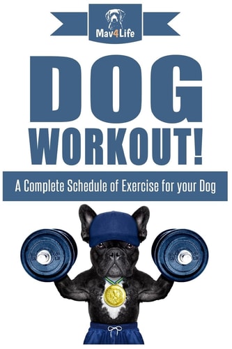 Dog Workout! A Complete Schedule of Exercise for Your Dog