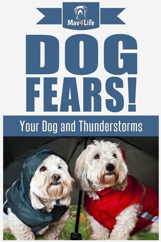 Dog Fears! Your Dog and Thunderstorms
