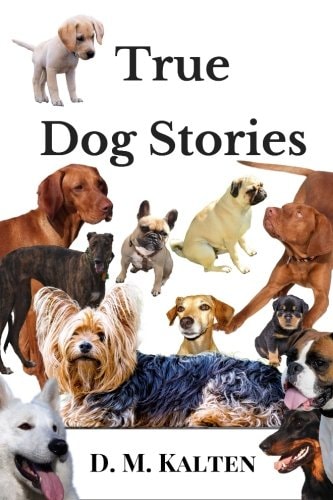 True Dog Stories Short Stories from Days Gone By