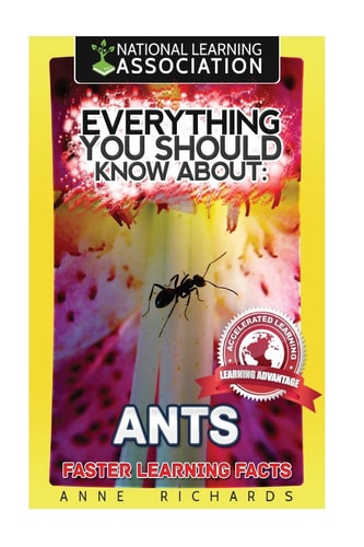Everything You Should Know About: ANTS Faster Learning Facts