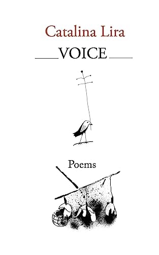 Voice