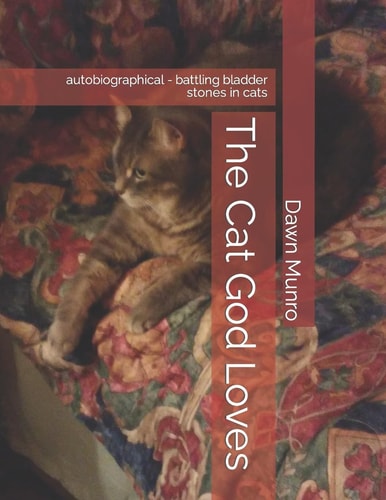 The Cat God Loves Autobiographical - Battling Bladder Stones in Cats