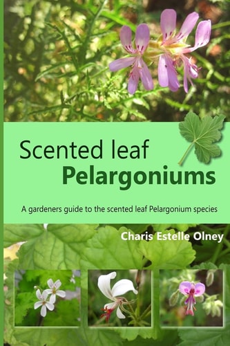 Scented Leaf Pelargoniums A Gardeners Guide to the Scented Leaf Pelargonium Species