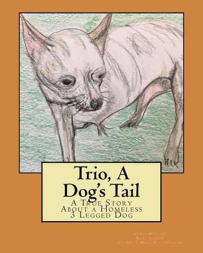 Trio, A Dog's Tail A True Story About a Homeless 3 Legged Dog