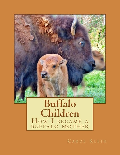 Buffalo Children How I Became a Buffalo Mother