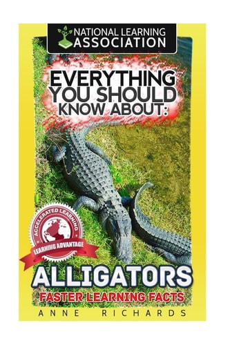 Everything You Should Know About Alligators