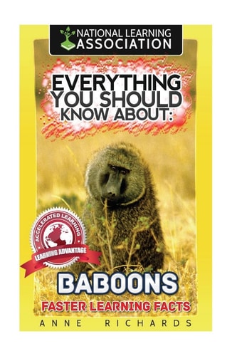 Everything You Should Know About Baboons