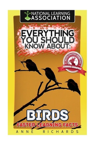 Everything You Should Know About Birds