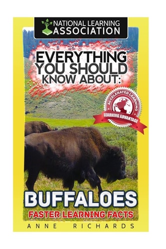 Everything You Should Know About Buffaloes