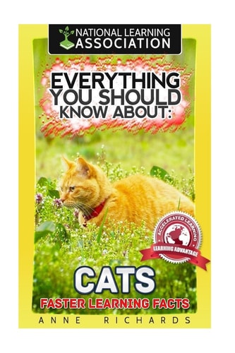 Everything You Should Know About Cats