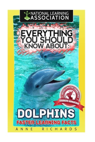 Everything You Should Know About Dolphins