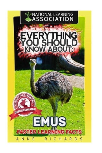 Everything You Should Know About Emus